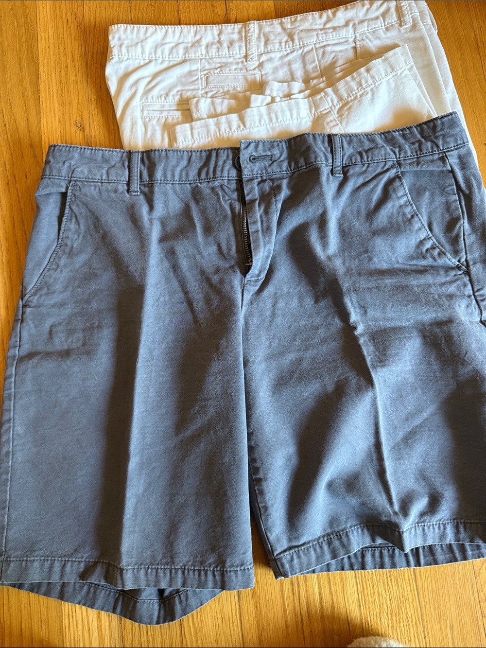 GAP Women’s Flat Front Shorts in Navy and White